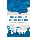 Why We Feel Blue When the Air Is Grey
