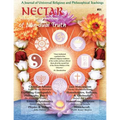 Nectar of Non-Dual Truth #31