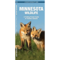 Minnesota Wildlife: A Folding Pocket Guide to Familiar Animals