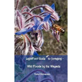 Lightfoot Guide to Foraging - Wild Foods by the Wayside