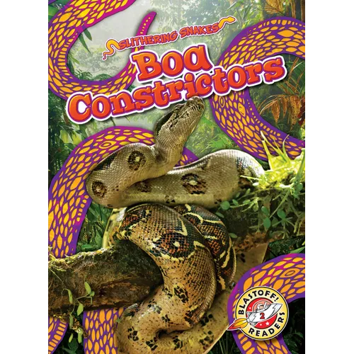 Boa Constrictors