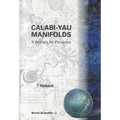 Calabi-Yau Manifolds: A Bestiary for Physicists