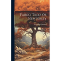 Forest Trees Of New Jersey