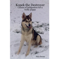 Kopek the Destroyer