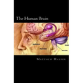 The Human Brain: A Fascinating Book Containing Human Brain Facts, Trivia, Images & Memory Recall Quiz: Suitable for Adults & Children