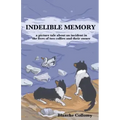 Indelible Memory: (a picture tale about an incident in the lives of two collies and their owner)