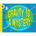 Gravity Is a Mystery