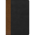 Rvr 1960 Biblia de Estudio Arcoiris, Tostado/Negro Símil Piel Con Índice