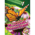 Monarch Butterflies