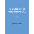 Foundations of Perturbative QCD