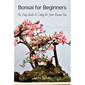 Bonsai for Beginners: An Easy Guide to Caring for Your Bonsai Tree