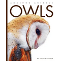 Owls
