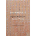 Reports after the Fire: Selected Poems
