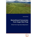 Biomethanol Conversion from Sugar Beet Pulp