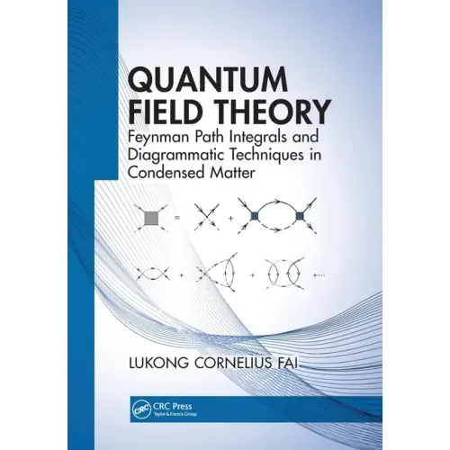 Quantum Field Theory: Feynman Path Integrals and Diagrammatic Techniques in Condensed Matter