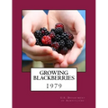 Growing Blackberries