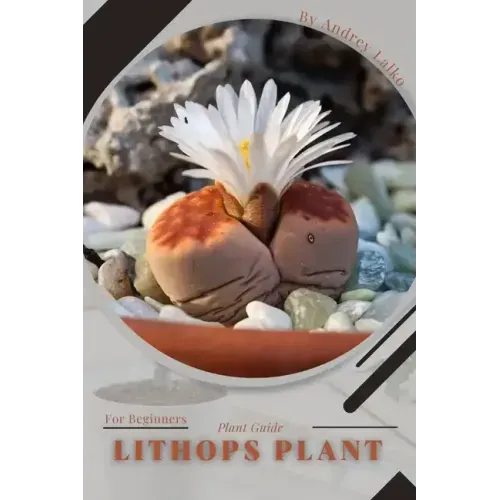 Lithops Plant: Plant Guide