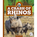 A Crash of Rhinos