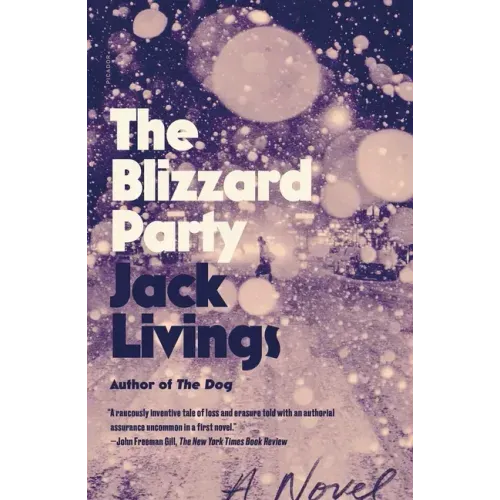 The Blizzard Party