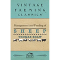 Management and Feeding of Sheep