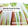 Standly finds his tribe: A redwood's story