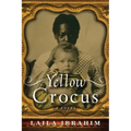 Yellow Crocus