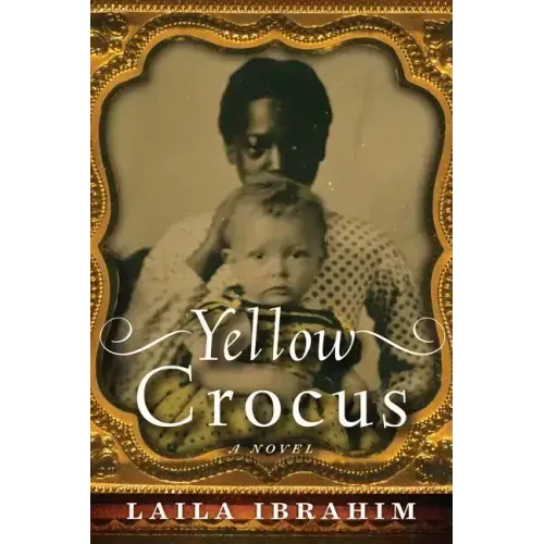Yellow Crocus
