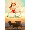 Love Came Down At Christmas: A Fancy Amish Smicksburg Tale