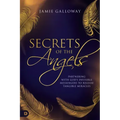 Secrets of the Angels: Partnering with God's Invisible Messengers to Release Tangible Miracles