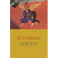 Birds in November