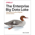 The Enterprise Big Data Lake: Delivering the Promise of Big Data and Data Science