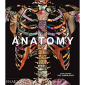 Anatomy: Exploring the Human Body