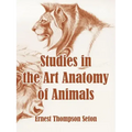Studies in the Art Anatomy of Animals