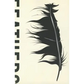 Feathers: The Evolution of a Natural Miracle
