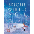 Bright Winter Night