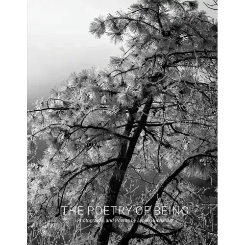 The Poetry of Being: Photographs and Haikus