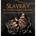 Slavery in the Southern Colonies North American Colonization Grade 3 Children's American History