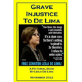 Grave Injustice to De Lima