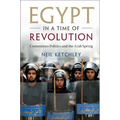 Egypt in a Time of Revolution
