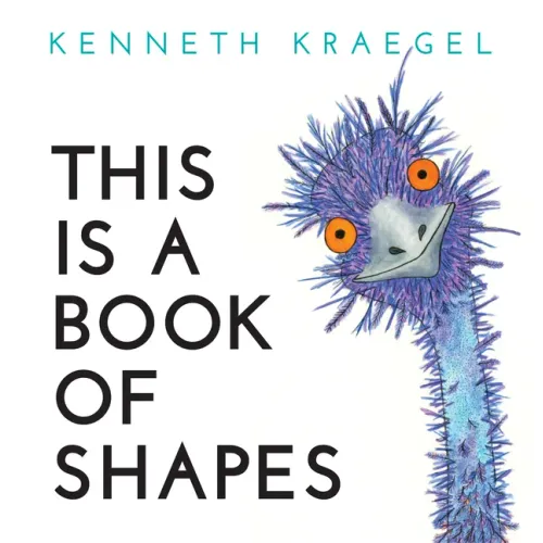 This Is a Book of Shapes