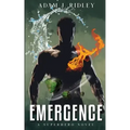 Emergence