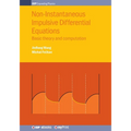 Non-Instantaneous Impulsive Differential Equations: Basic theory and computation