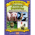 Picture Puzzles