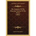 The Anatomy Of The Muscular System Of The Horse (1862)