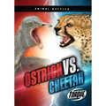 Ostrich vs. Cheetah