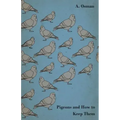 Pigeons and How to Keep Them