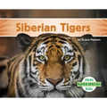 Siberian Tigers