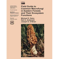 Field Guide to Common Macrofungi in Eastern Forests and Their Ecosystem Functions