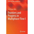 Frontiers and Progress in Multiphase Flow I