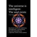 The universe is intelligent. The soul exists.: Quantum mysteries, multiverse, entanglement, synchronicity. Beyond materiality, for a spiritual vision